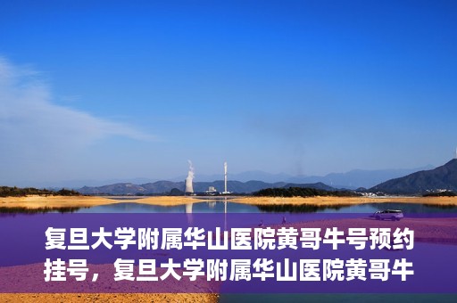 复旦大学附属华山医院黄哥牛号预约挂号，复旦大学附属华山医院黄哥牛号预约挂号攻略详解