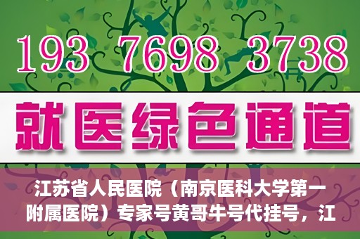 江苏省人民医院（南京医科大学第一附属医院）专家号黄哥牛号代挂号，江苏省人民医院专家号代挂号服务解析，黄哥牛号预约攻略