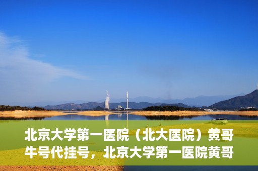 北京大学第一医院（北大医院）黄哥牛号代挂号，北京大学第一医院黄哥牛号代挂号背后的故事