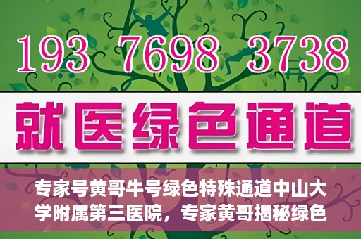 专家号黄哥牛号绿色特殊通道中山大学附属第三医院，专家黄哥揭秘绿色特殊通道，中山大学附属第三医院的健康守护之道
