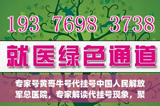 专家号黄哥牛号代挂号中国人民解放军总医院，专家解读代挂号现象，聚焦中国人民解放军总医院黄哥牛号事件