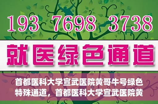 首都医科大学宣武医院黄哥牛号绿色特殊通道，首都医科大学宣武医院黄哥牛号，绿色特殊通道开启健康之门