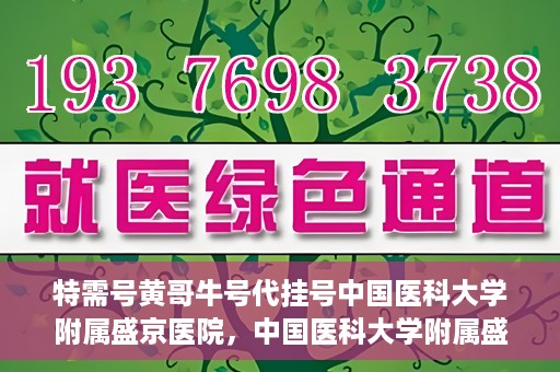 特需号黄哥牛号代挂号中国医科大学附属盛京医院，中国医科大学附属盛京医院特需号黄哥牛号代挂号服务详解