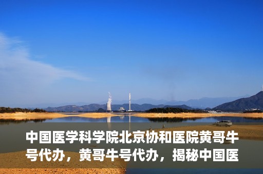 中国医学科学院北京协和医院黄哥牛号代办，黄哥牛号代办，揭秘中国医学科学院北京协和医院背后的故事