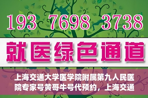 上海交通大学医学院附属第九人民医院专家号黄哥牛号代预约，上海交通大学医学院附属第九人民医院专家号预约服务解析，黄哥牛号预约指南