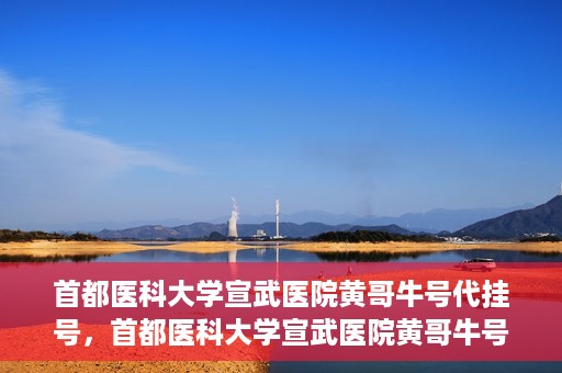 首都医科大学宣武医院黄哥牛号代挂号，首都医科大学宣武医院黄哥牛号助您轻松预约挂号
