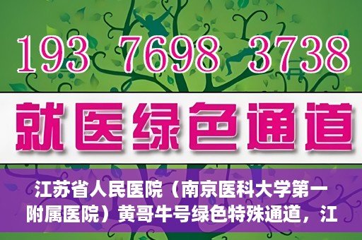 江苏省人民医院（南京医科大学第一附属医院）黄哥牛号绿色特殊通道，江苏省人民医院绿色特殊通道，黄哥牛号的医疗速度与温情服务