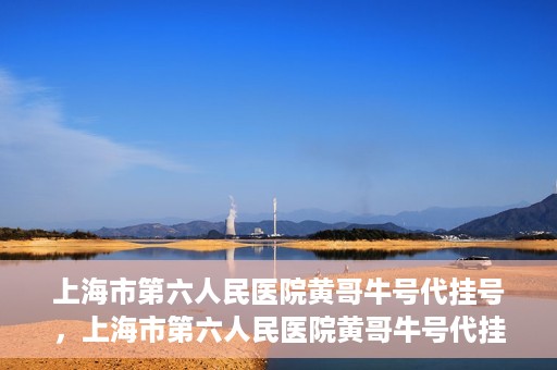上海市第六人民医院黄哥牛号代挂号，上海市第六人民医院黄哥牛号代挂号攻略揭秘