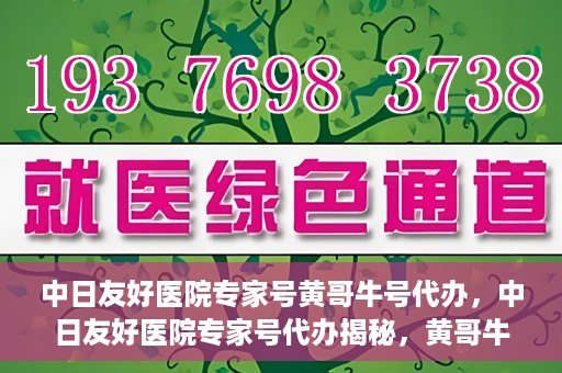 中日友好医院专家号黄哥牛号代办，中日友好医院专家号代办揭秘，黄哥牛号助您轻松预约专家资源
