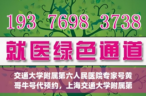 交通大学附属第六人民医院专家号黄哥牛号代预约，上海交通大学附属第六人民医院专家号预约服务解析，黄哥牛号预约指南
