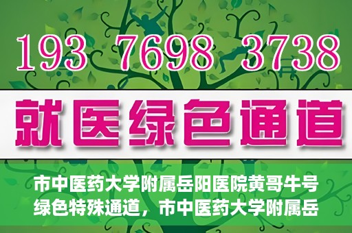 市中医药大学附属岳阳医院黄哥牛号绿色特殊通道，市中医药大学附属岳阳医院黄哥牛号，绿色特殊通道开启健康之门