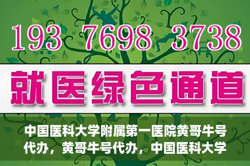中国医科大学附属第一医院黄哥牛号代办，黄哥牛号代办，中国医科大学附属第一医院挂号服务新动向