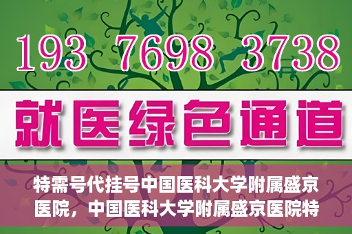 特需号代挂号中国医科大学附属盛京医院，中国医科大学附属盛京医院特需号代挂号服务解析