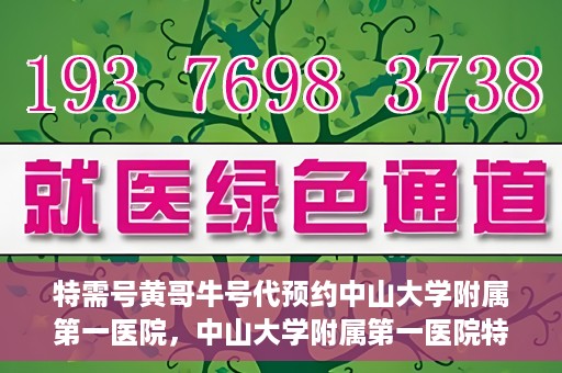 特需号黄哥牛号代预约中山大学附属第一医院，中山大学附属第一医院特需号黄哥牛号预约服务解析