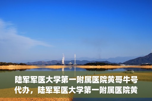 陆军军医大学第一附属医院黄哥牛号代办，陆军军医大学第一附属医院黄哥牛号服务代办中心