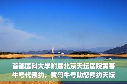 首都医科大学附属北京天坛医院黄哥牛号代预约，黄哥牛号助您预约天坛医院——权威医疗预约服务体验