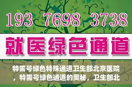 特需号绿色特殊通道卫生部北京医院，特需号绿色通道的奥秘，卫生部北京医院的特殊通道解析