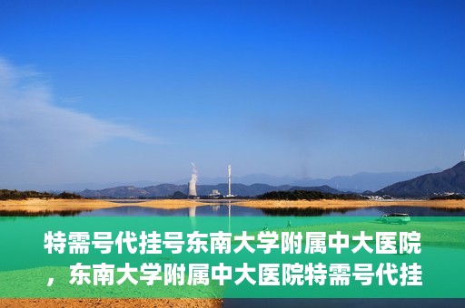 特需号代挂号东南大学附属中大医院，东南大学附属中大医院特需号代挂号服务解析