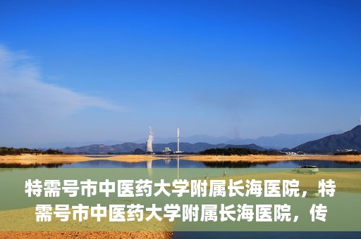 特需号市中医药大学附属长海医院，特需号市中医药大学附属长海医院，传统医学与现代医疗的交融之地
