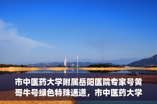 市中医药大学附属岳阳医院专家号黄哥牛号绿色特殊通道，市中医药大学附属岳阳医院专家号黄哥牛号，绿色特殊通道的医学力量