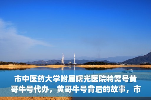 市中医药大学附属曙光医院特需号黄哥牛号代办，黄哥牛号背后的故事，市中医药大学附属曙光医院特需号代办揭秘