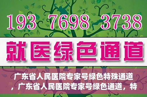 广东省人民医院专家号绿色特殊通道，广东省人民医院专家号绿色通道，特殊通道助力患者高效就医