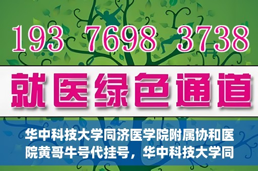 华中科技大学同济医学院附属协和医院黄哥牛号代挂号，华中科技大学同济医学院附属协和医院黄哥牛号代挂号服务详解
