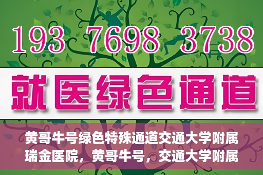 黄哥牛号绿色特殊通道交通大学附属瑞金医院，黄哥牛号，交通大学附属瑞金医院的绿色特殊通道揭秘
