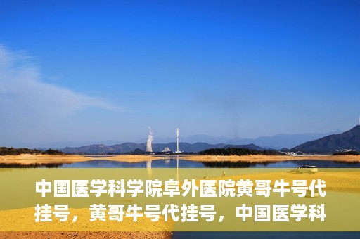 中国医学科学院阜外医院黄哥牛号代挂号，黄哥牛号代挂号，中国医学科学院阜外医院便捷就医新途径