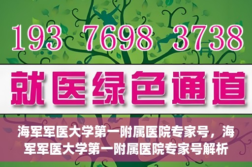 海军军医大学第一附属医院专家号，海军军医大学第一附属医院专家号解析，权威医疗团队的专业解读与诊疗服务