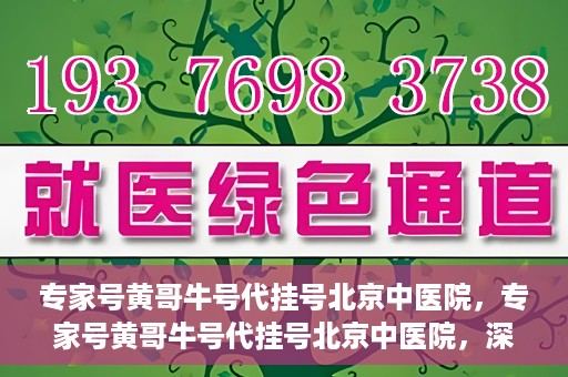 专家号黄哥牛号代挂号北京中医院，专家号黄哥牛号代挂号北京中医院，深度解读与预约攻略