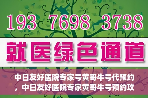中日友好医院专家号黄哥牛号代预约，中日友好医院专家黄哥牛号预约攻略，一站式解决看病预约难题