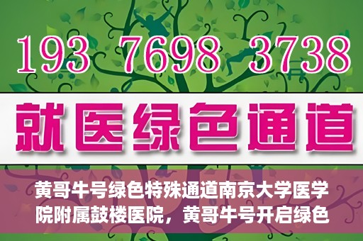 黄哥牛号绿色特殊通道南京大学医学院附属鼓楼医院，黄哥牛号开启绿色特殊通道，鼓楼医院展现医疗新力量