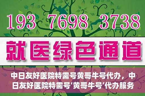 中日友好医院特需号黄哥牛号代办，中日友好医院特需号‘黄哥牛号’代办服务解析