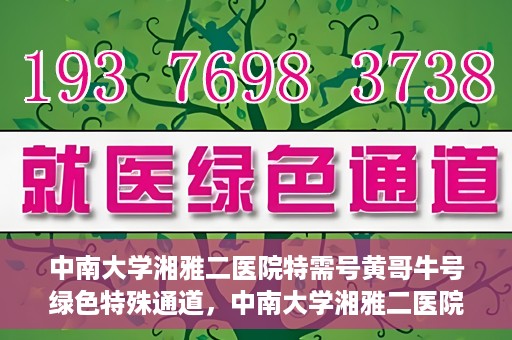 中南大学湘雅二医院特需号黄哥牛号绿色特殊通道，中南大学湘雅二医院特需号黄哥牛号，绿色就医特殊通道揭秘