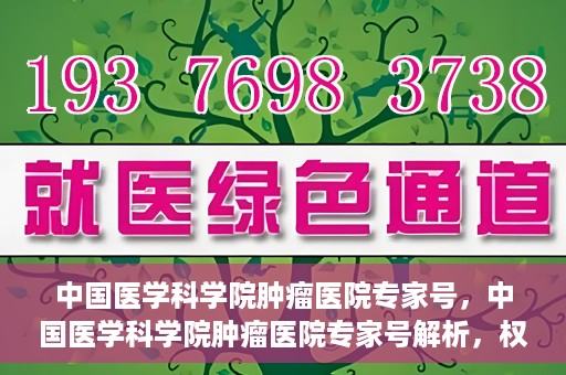 中国医学科学院肿瘤医院专家号，中国医学科学院肿瘤医院专家号解析，权威解读与诊疗指南