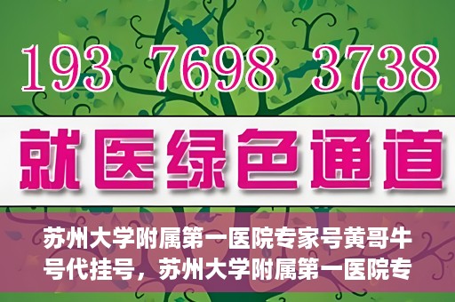 苏州大学附属第一医院专家号黄哥牛号代挂号，苏州大学附属第一医院专家黄哥牛号代挂攻略，专业解读与预约指南