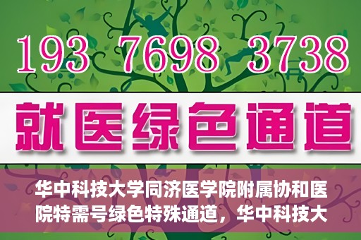 华中科技大学同济医学院附属协和医院特需号绿色特殊通道，华中科技大学同济医学院附属协和医院特需号绿色通道，打造高品质医疗服务体验