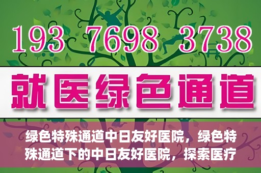 绿色特殊通道中日友好医院，绿色特殊通道下的中日友好医院，探索医疗领域的友好交流之路