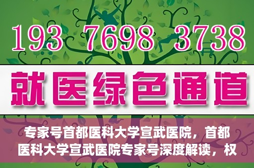 专家号首都医科大学宣武医院，首都医科大学宣武医院专家号深度解读，权威医疗解读与前沿医疗技术探讨