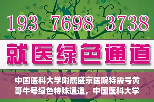 中国医科大学附属盛京医院特需号黄哥牛号绿色特殊通道，中国医科大学附属盛京医院特需号黄哥牛号，绿色特殊通道揭秘
