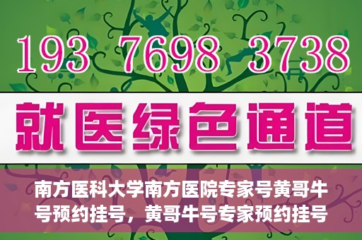 南方医科大学南方医院专家号黄哥牛号预约挂号，黄哥牛号专家预约挂号指南，南方医科大学南方医院权威专家号预约攻略