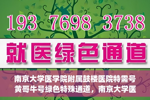 南京大学医学院附属鼓楼医院特需号黄哥牛号绿色特殊通道，南京大学医学院附属鼓楼医院特需号黄哥牛号，绿色特殊通道揭秘