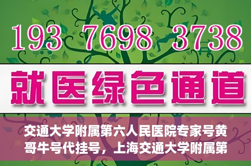 交通大学附属第六人民医院专家号黄哥牛号代挂号，上海交通大学附属第六人民医院专家号代挂号服务解析——黄哥牛号挂号攻略