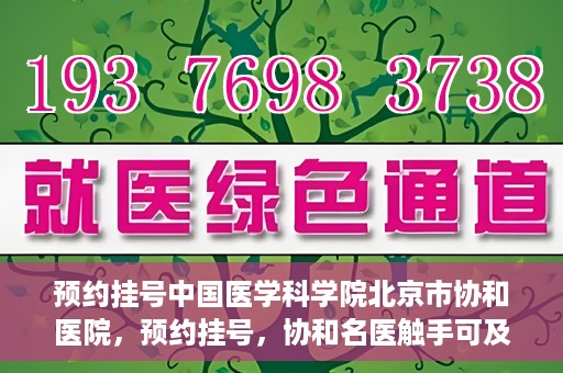 预约挂号中国医学科学院北京市协和医院，预约挂号，协和名医触手可及，中国医学科学院北京市协和医院就医指南