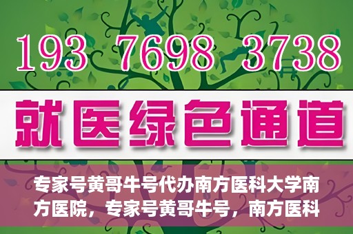 专家号黄哥牛号代办南方医科大学南方医院，专家号黄哥牛号，南方医科大学南方医院代办服务解析