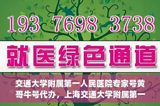 交通大学附属第一人民医院专家号黄哥牛号代办，上海交通大学附属第一人民医院专家号代办服务揭秘，黄哥牛号助您轻松预约专家资源