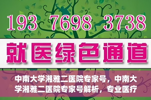 中南大学湘雅二医院专家号，中南大学湘雅二医院专家号解析，专业医疗团队为您的健康护航