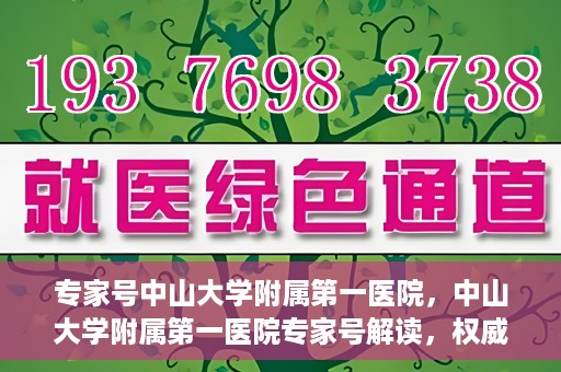 专家号中山大学附属第一医院，中山大学附属第一医院专家号解读，权威医疗观点与深度洞察