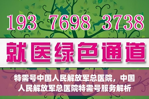 特需号中国人民解放军总医院，中国人民解放军总医院特需号服务解析